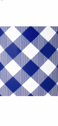 Gameday Gingham Royal Party Cup 24oz