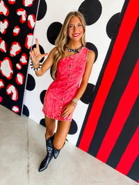 Pressbox Denim Dress
