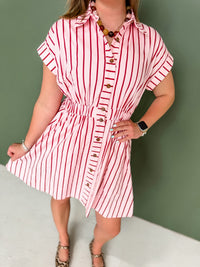 Blush & Berry Dress