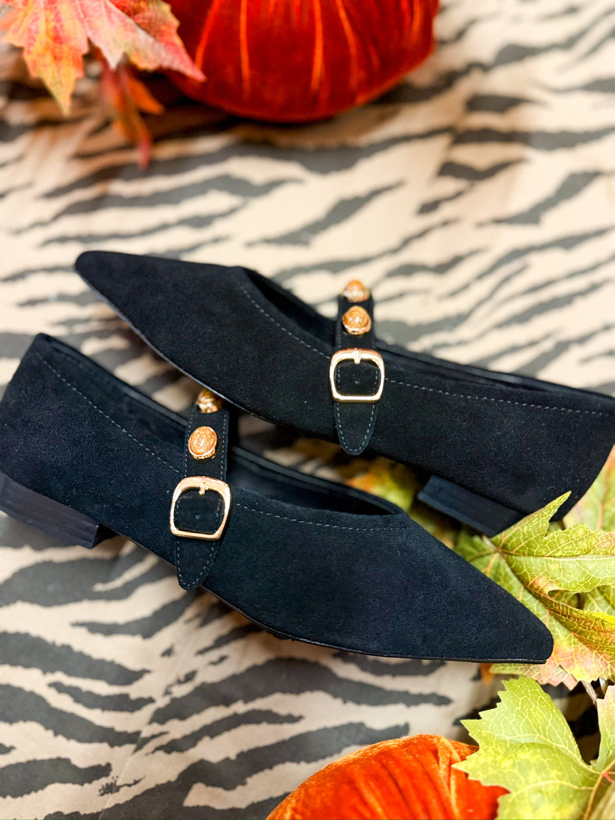 Abrina Flats