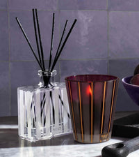 Autumn Plum Reed Diffuser